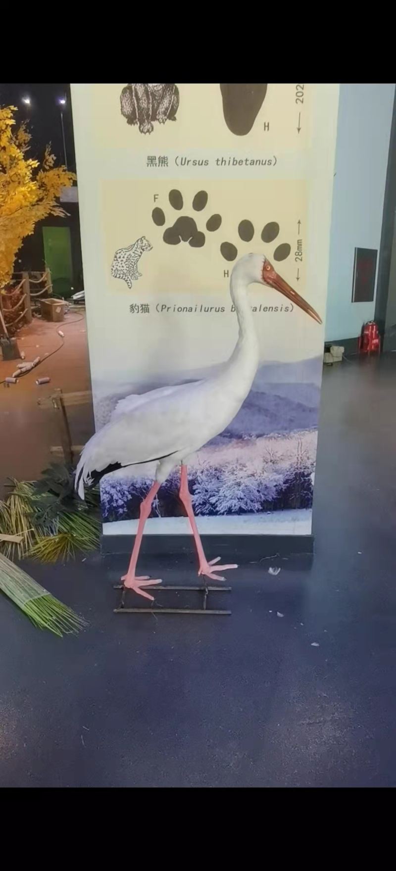 仿真白鹤