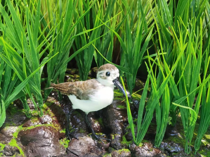 仿真勺鹬